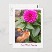 Holen Sie sich bald König Charles Spaniel und Dahl Postkarte (Vorne/Hinten)