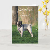 Holen Sie sich bald Mops in der Parkgrüßkarte Karte (Gelbe Blume)