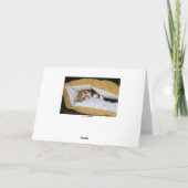 Holen Sie sich bald Orange Tabby Kitten Karte (Rückseite)