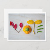 Holen Sie sich die VOTE Postkarte heraus (Vorne/Hinten)