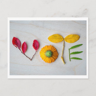 Holen Sie sich die VOTE Postkarte heraus