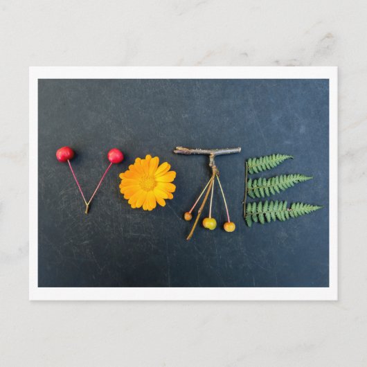 Holen Sie sich die VOTE Postkarte heraus (Vorderseite)