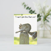 Holen Sie sich diese Furz aus der Funny Squirrel P Postkarte (Stehend Vorderseite)