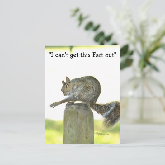 Holen Sie sich diese Furz aus der Funny Squirrel P Postkarte (Stehend Vorderseite)