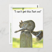 Holen Sie sich diese Furz aus der Funny Squirrel P Postkarte (Vorne/Hinten)