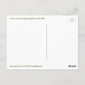 Holen Sie sich diese Furz aus der Funny Squirrel P Postkarte (Rückseite)