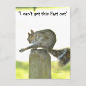 Holen Sie sich diese Furz aus der Funny Squirrel P Postkarte (Vorderseite)