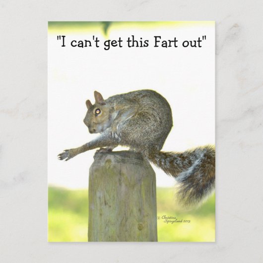 Holen Sie sich diese Furz aus der Funny Squirrel P Postkarte (Vorderseite)