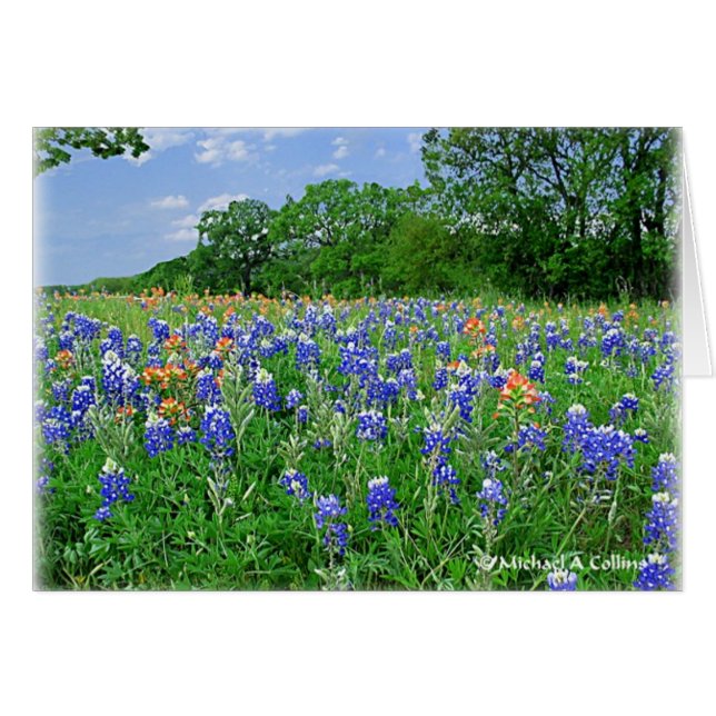 Holen Sie sich Ihr Kissen (Vorderseite (Horizontal))