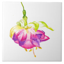 Holi on a Ceramic Tile (B) Fliese