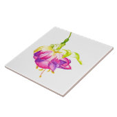 Holi on a Ceramic Tile (B) Fliese (Seite)