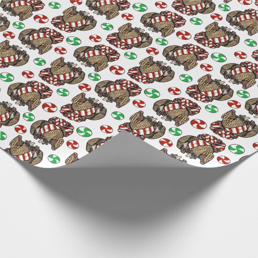 Holiday Armadillo Geschenkpapier (Ecke)