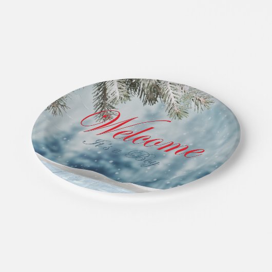 Holiday Baby Dusche Pappteller (Schrägansicht)