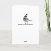 Holiday Blue Jay Feiertagskarte (Rückseite)