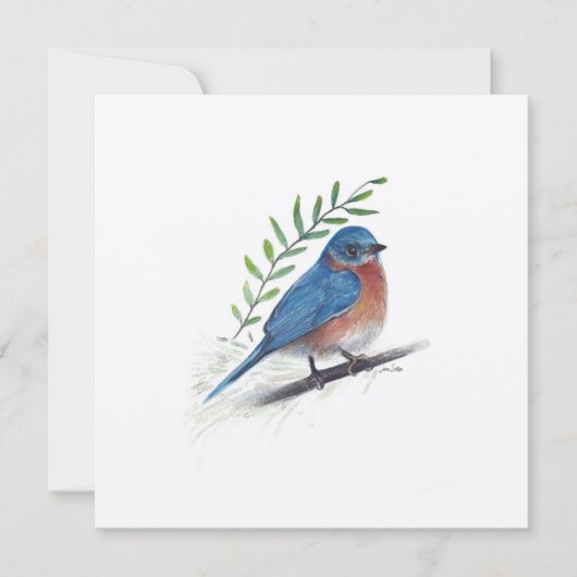 Holiday Bluebird Art Bird Card Feiertagskarte (Vorderseite)