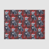 Holiday Bluenose Pitbull Dog Karierte Weihnachten Seidenpapier (Vorderseite)