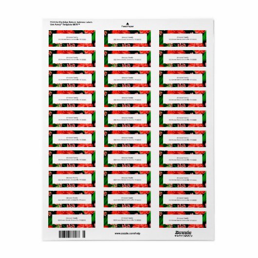 Holiday Bright Floral Border Gerahmte Adresse (Vorne)