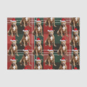 Holiday Brown Pitbull Dog Karierte Weihnachten Seidenpapier (Vorderseite)