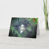 Holiday Bubble Feiertagskarte (Vorderseite)