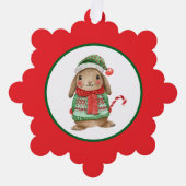 Holiday Bunny Ornament Karte (Vorderseite)