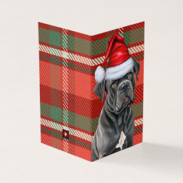 Holiday Cane Corso Dog Red Green Karierte Weihnach