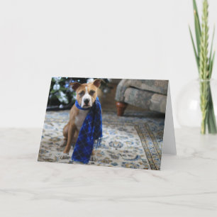 Holiday Cheer von Pit Bull Rescue Dog Feiertagskarte