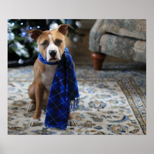 Holiday Cheer von Pit Bull Rescue Dog Poster (Vorne)