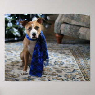 Holiday Cheer von Pit Bull Rescue Dog Poster
