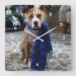 Holiday Cheer von Pit Bull Rescue Dog Quadratische Wanduhr