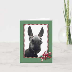 Holiday Cody Feiertagskarte