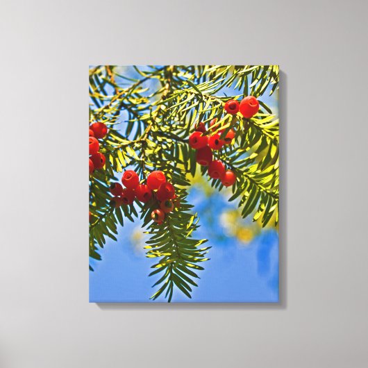Holiday Conifers Leinwanddruck (Vorderseite)