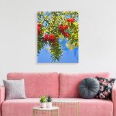 Holiday Conifers Leinwanddruck (Insitu (Wohnzimmer))