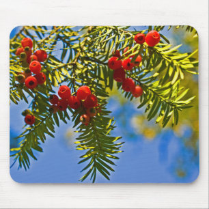 Holiday Conifers Mousepad