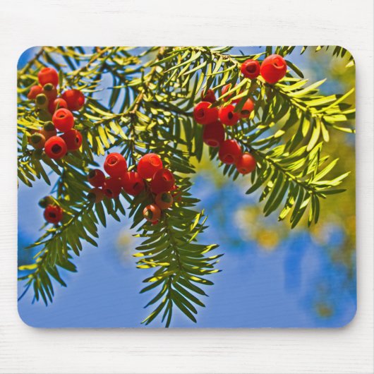 Holiday Conifers Mousepad (Vorne)