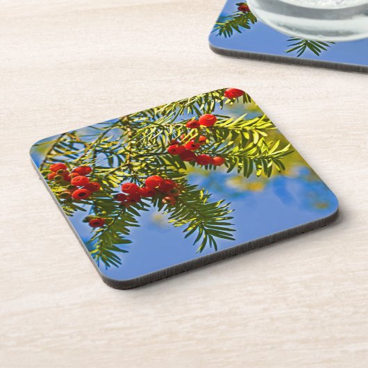 Holiday Conifers Untersetzer (Linke Seite)