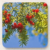 Holiday Conifers Untersetzer (Vorderseite)