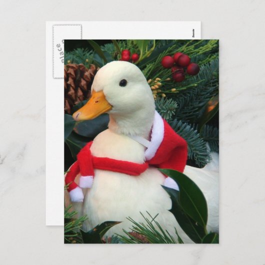 Holiday Duck Feiertagspostkarte (Vorne/Hinten)