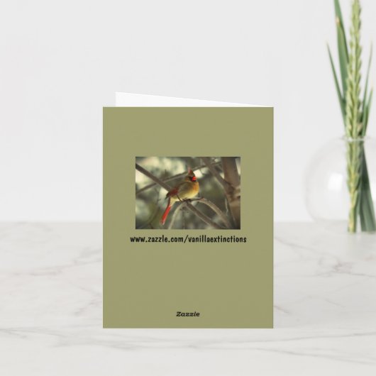 Holiday Female Kardinal Feiertagskarte (Rückseite)