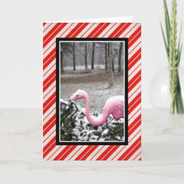 Holiday Flamingo Grußkarte Feiertagskarte