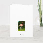 Holiday Flamingo Karte (Rückseite)