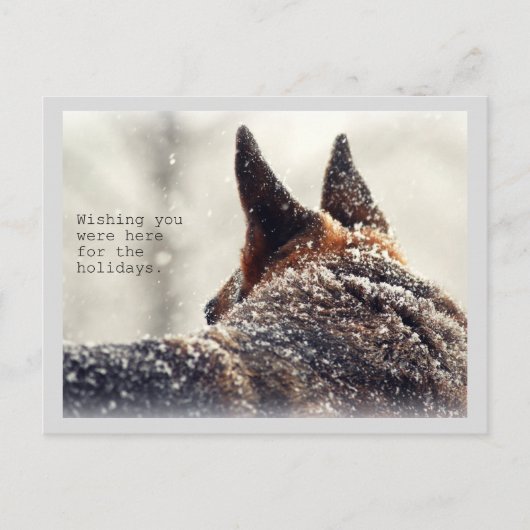 Holiday German Shepherd Feiertagspostkarte (Vorderseite)