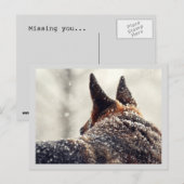 Holiday German Shepherd Feiertagspostkarte (Vorne/Hinten)