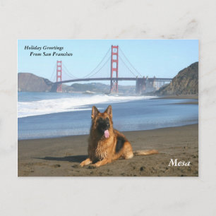 Holiday Greetings from San Francisco Feiertagspostkarte