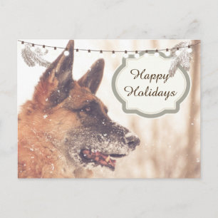 Holiday Greetings German Shepherd Postcard Feiertagspostkarte
