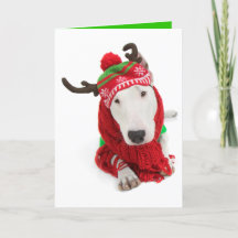 Holiday Gruß Card One Oared Bull Terrier