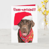 Holiday Gruß Card Schokolade Labrador Karte (Gelbe Blume)