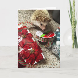 Holiday Hedgehog Funny Christmas Card Feiertagskarte