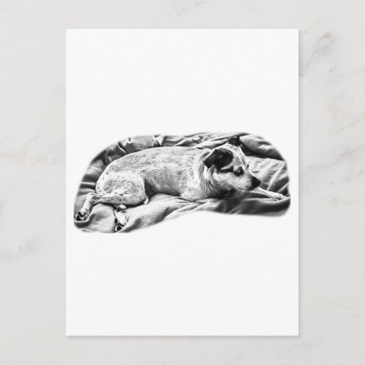 Holiday Hello aus Bed and Blanket Postkarte (Vorderseite)