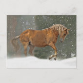 Holiday Horn in Snow Postkarte (Vorderseite)