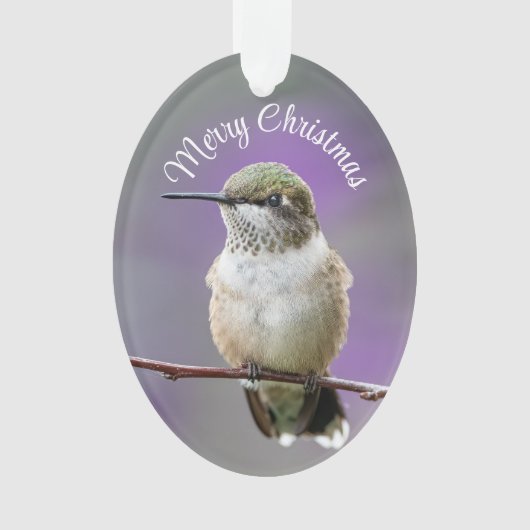 Holiday Hummingbird Akrylorische Ornamente (Vorderseite)